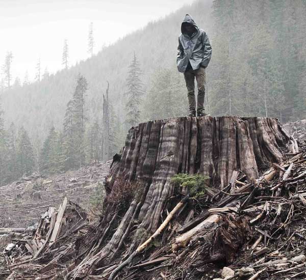 dokumentarni film: AKO I JEDNO STABLO PADNE: priča o Frontu za oslobođenje Zemlje